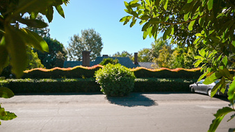 Enlarge photo 80