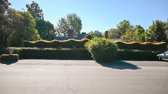 Enlarge photo 81