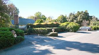 Enlarge photo 82