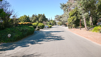 Enlarge photo 83