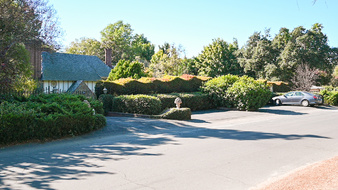 Enlarge photo 84