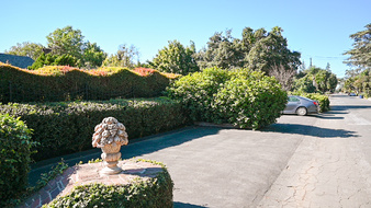 Enlarge photo 86
