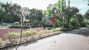 Enlarge photo 3
