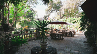 Enlarge photo 45