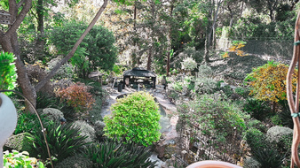 Enlarge photo 46