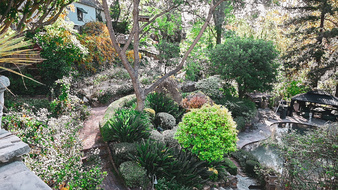 Enlarge photo 47