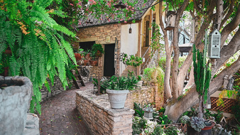 Enlarge photo 50