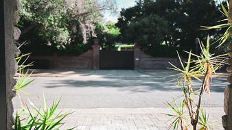 Enlarge photo 66