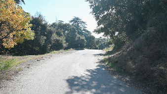 Enlarge photo 2