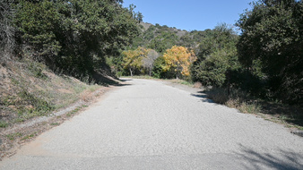 Enlarge photo 3