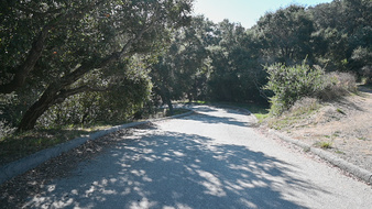 Enlarge photo 4