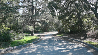 Enlarge photo 5