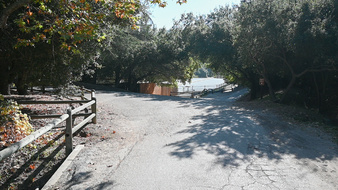 Enlarge photo 8