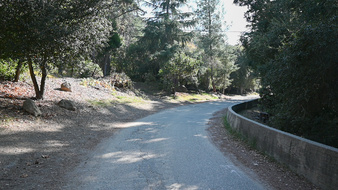 Enlarge photo 10
