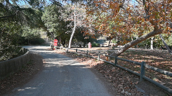 Enlarge photo 12