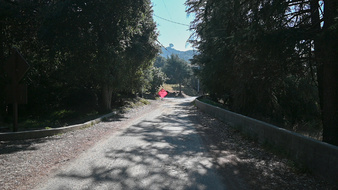 Enlarge photo 11