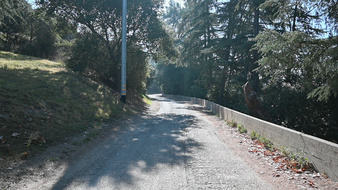 Enlarge photo 14