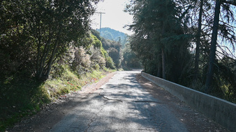 Enlarge photo 15