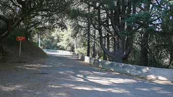 Enlarge photo 20