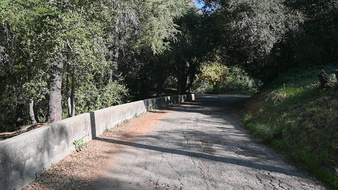 Enlarge photo 22