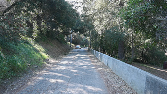 Enlarge photo 23