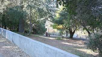 Enlarge photo 24
