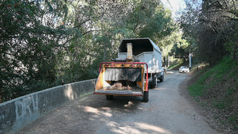 Enlarge photo 26