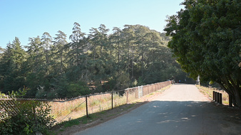 Enlarge photo 28