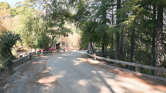 Enlarge photo 30