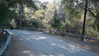 Enlarge photo 31