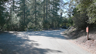 Enlarge photo 33