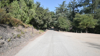 Enlarge photo 36