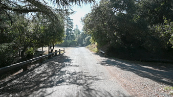 Enlarge photo 35