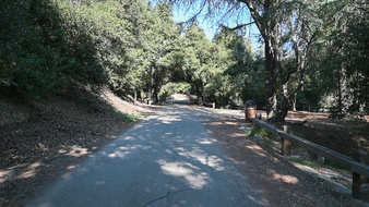 Enlarge photo 37
