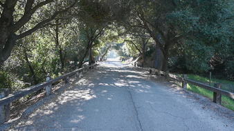 Enlarge photo 38