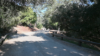 Enlarge photo 39
