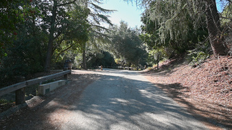 Enlarge photo 40