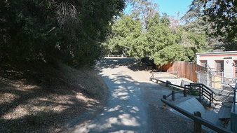 Enlarge photo 41