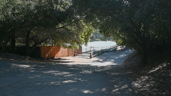Enlarge photo 42