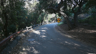 Enlarge photo 43