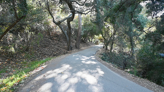 Enlarge photo 45