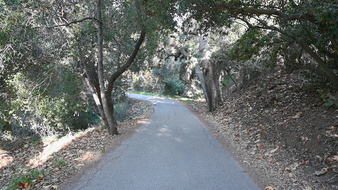 Enlarge photo 46