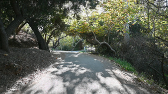 Enlarge photo 47