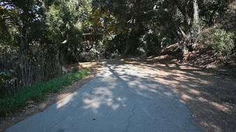 Enlarge photo 49