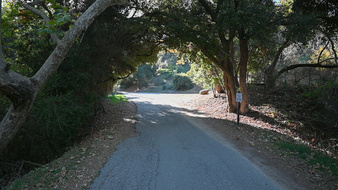 Enlarge photo 48