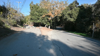 Enlarge photo 50