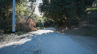 Enlarge photo 51