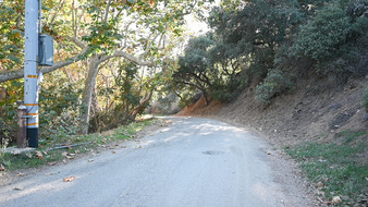 Enlarge photo 53