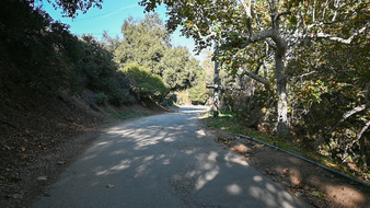 Enlarge photo 52