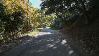 Enlarge photo 54